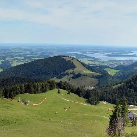 Parkblick